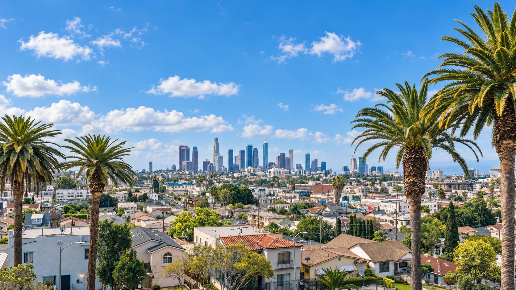 Southern California neighborhood with palm trees served by Pro Bright